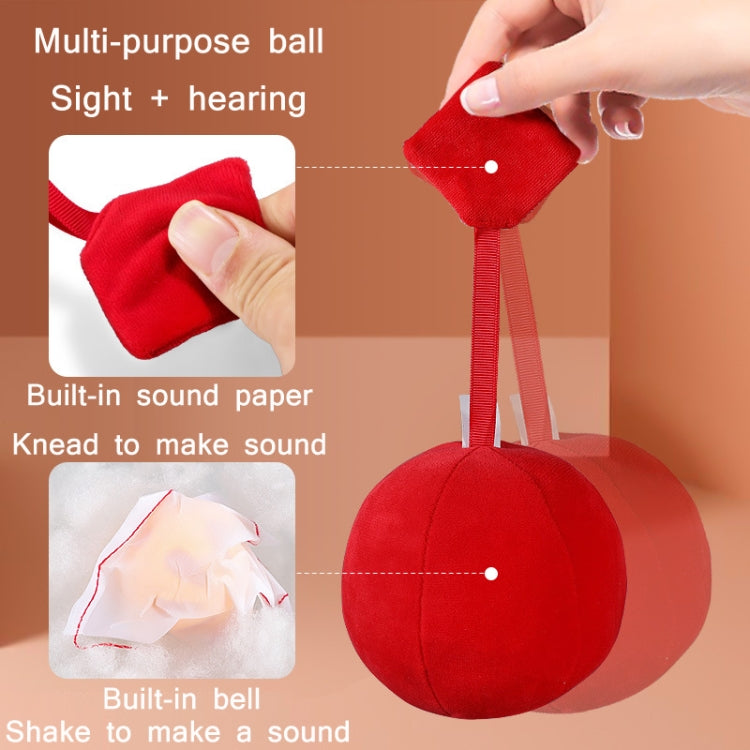 2 PCS Infant Vision Training Ball Early Education Toys