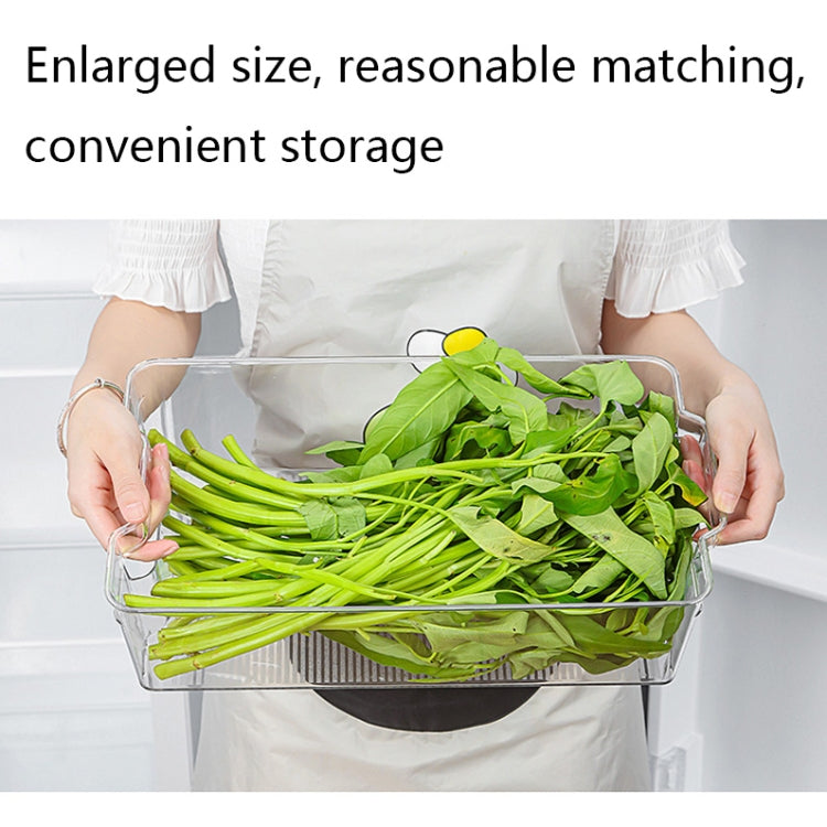Portable Food Fruit and Vegetable Transparent Refrigerator Storage Box, Specification: Ty0641