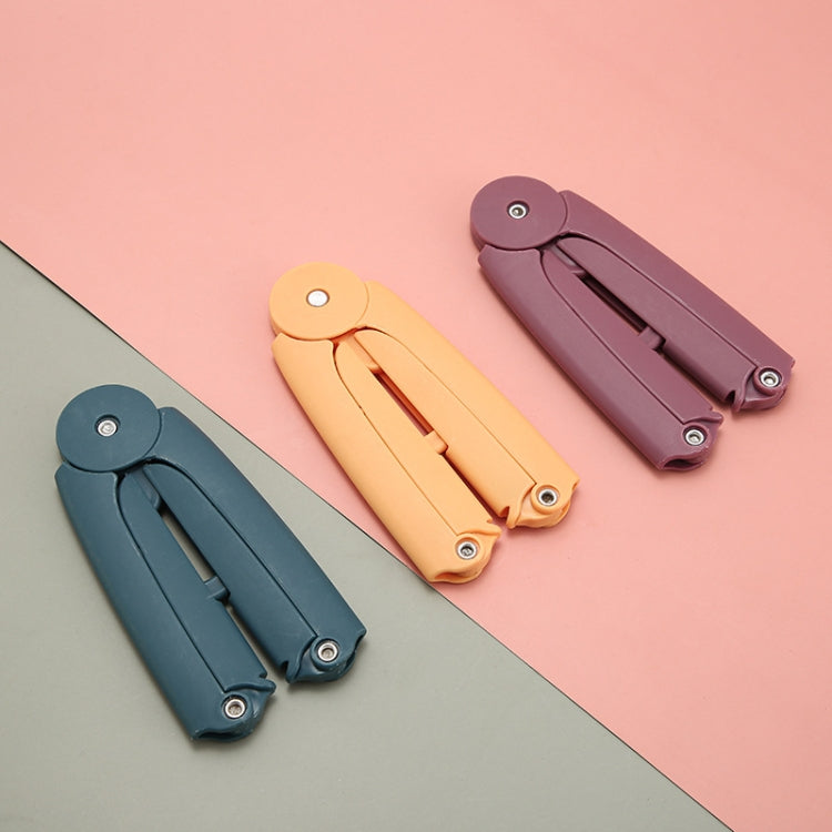5 PCS Travel Folding Portable Mini Adult Kids Hanger