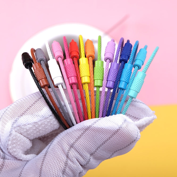 20 PCS Colorful Paint Steel Wire Rope Car Key Ring DIY Accessories(Color Random Delivery)