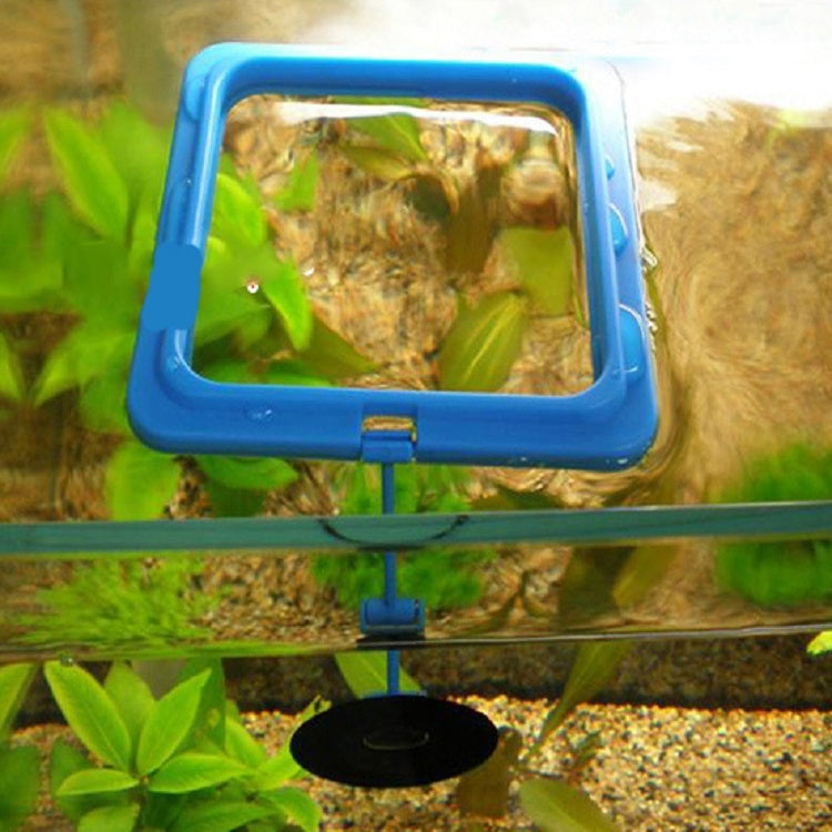 10 PCS Aquarium Fish Food Feeder, Specification: Thick Blue Square