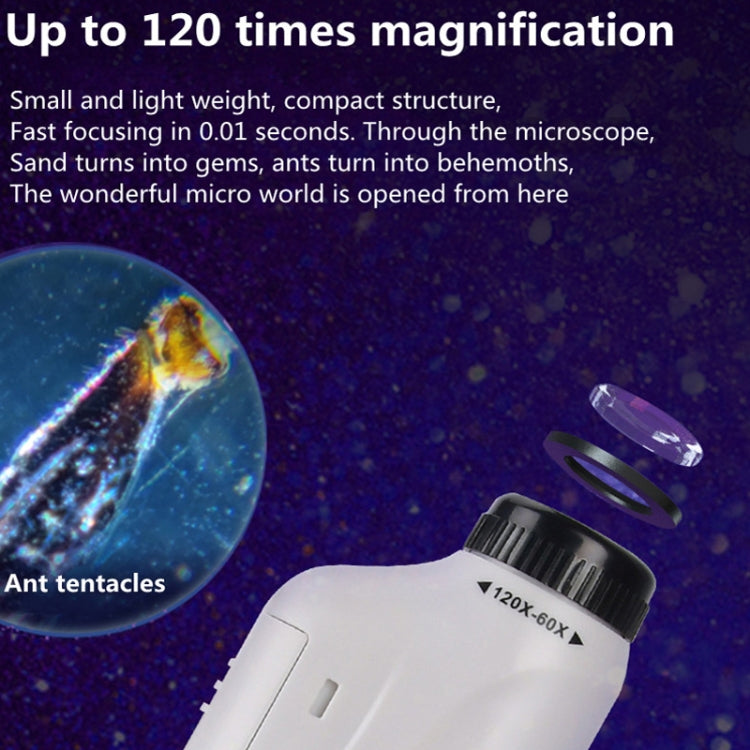 Children Handheld Portable Laboratory Equipment Microscope Toys, Colour: Lite + Specimen (Blue)