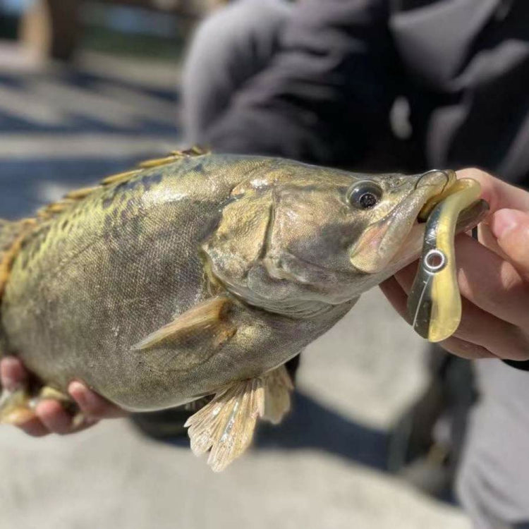 10 PCS Luya Bait Loach Bionic Bait Fishing Supplies, Specification: 2G / 6.7cm