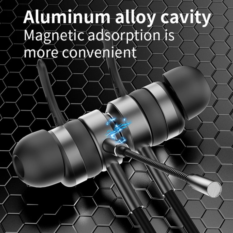 Heavy Bass Metal Wired Double Microphone Electric Versus Headphones, Colour: Type-C Interface