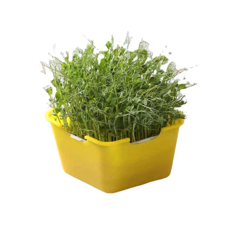 3 PCS Bean Sprout Germination Pot Soilless Culture Hydroponic Vegetable Seedling Tray