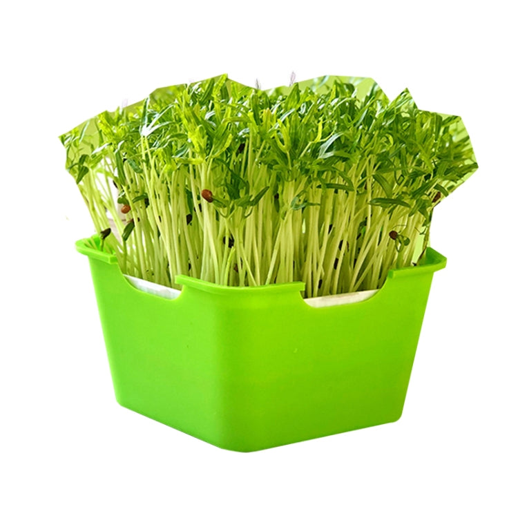 3 PCS Bean Sprout Germination Pot Soilless Culture Hydroponic Vegetable Seedling Tray