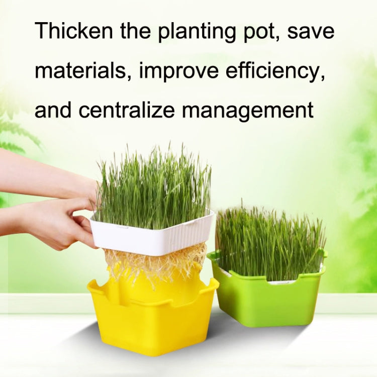 3 PCS Bean Sprout Germination Pot Soilless Culture Hydroponic Vegetable Seedling Tray