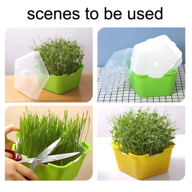 3 PCS Bean Sprout Germination Pot Soilless Culture Hydroponic Vegetable Seedling Tray