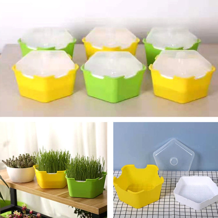 3 PCS Bean Sprout Germination Pot Soilless Culture Hydroponic Vegetable Seedling Tray