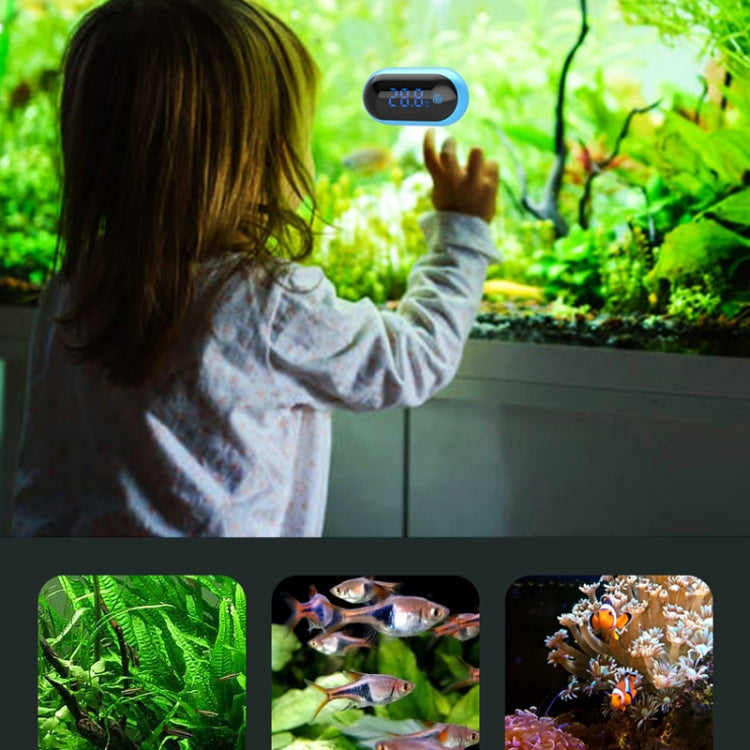 LED Digital High Precision Water Temperature Meter Reptile Electronic Thermometer