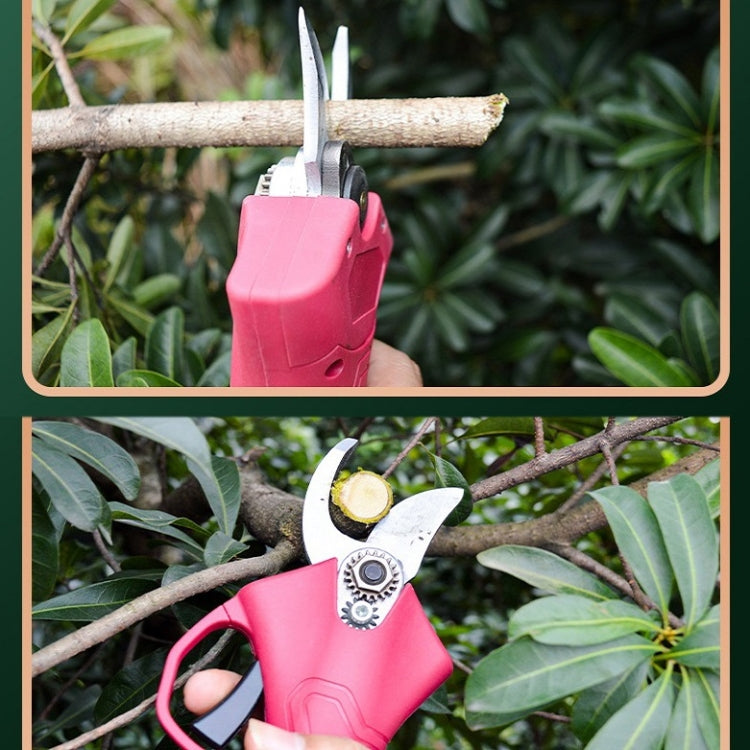 Handheld Electric Pruning Shears Gardening Fruit Tree Pruning Machine, Specification: 21V-25 Only Host
