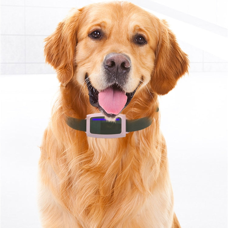 4G Pet Locator Anti-Theft Anti-Magnetic Waterproof Pet Tracker(English Version)
