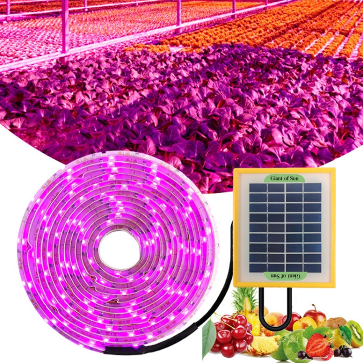 LED Full Spectrum Plant Fill Light Grow Light(Solar Panel+ 5M Lamps)