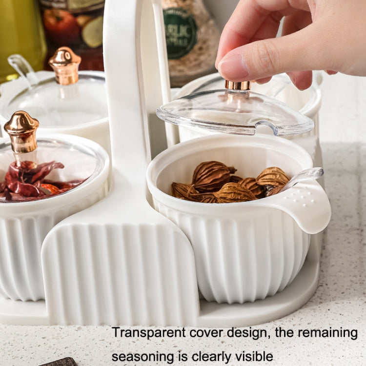 Home Portable Kitchen Transparent Seasoning Box with Lid
