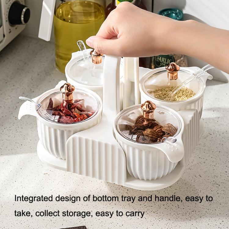 Home Portable Kitchen Transparent Seasoning Box with Lid