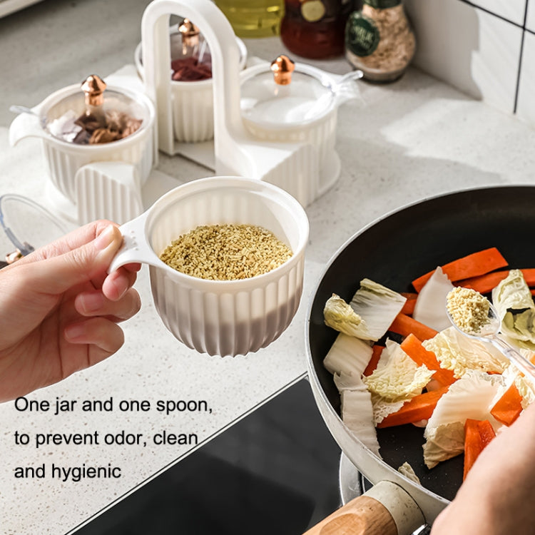 Home Portable Kitchen Transparent Seasoning Box with Lid