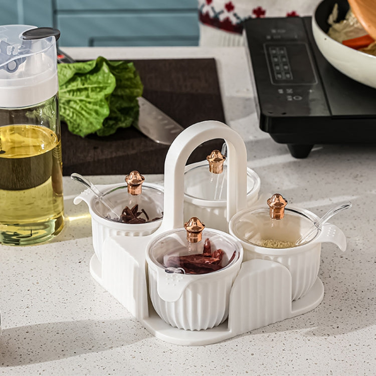 Home Portable Kitchen Transparent Seasoning Box with Lid