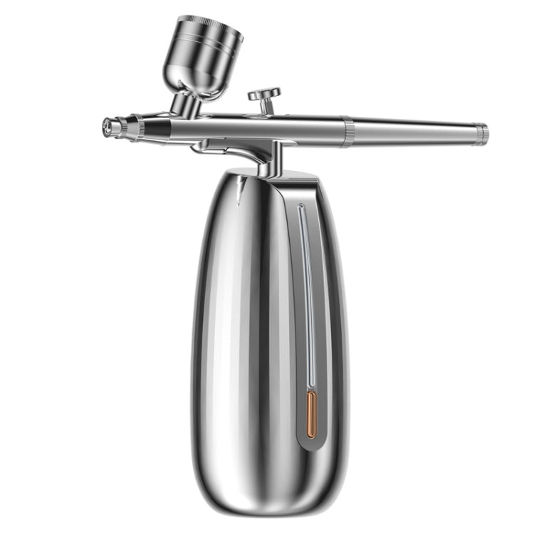 Z24 Household Face Supply Essence Import Hand Holding Spray Beauty Instrument(Silver)