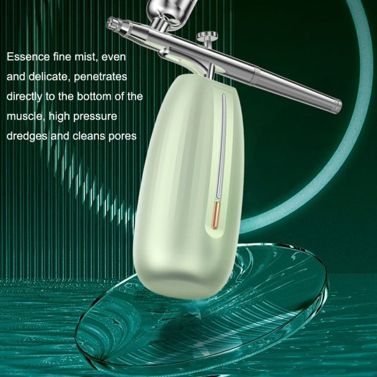 Z24 Household Face Supply Essence Import Hand Holding Spray Beauty Instrument(Silver)