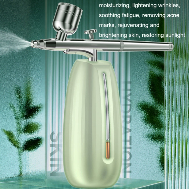 Z24 Household Face Supply Essence Import Hand Holding Spray Beauty Instrument(Silver)