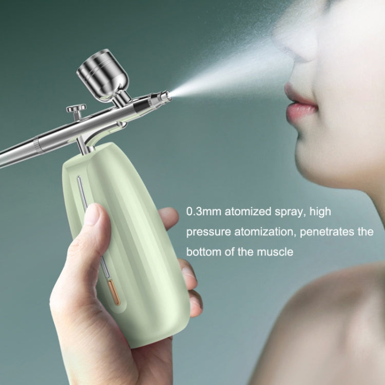 Z24 Household Face Supply Essence Import Hand Holding Spray Beauty Instrument(Silver)