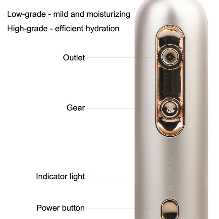 FY-1101 Nano Spray High Pressure Moisturizing Instrument Facial Beauty Device