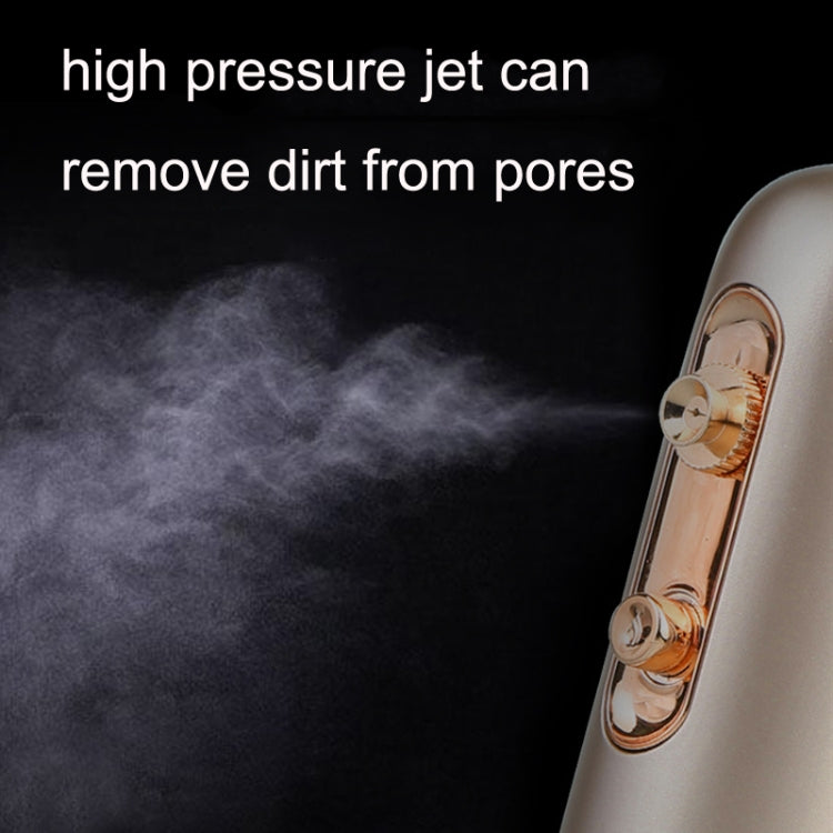 FY-1101 Nano Spray High Pressure Moisturizing Instrument Facial Beauty Device
