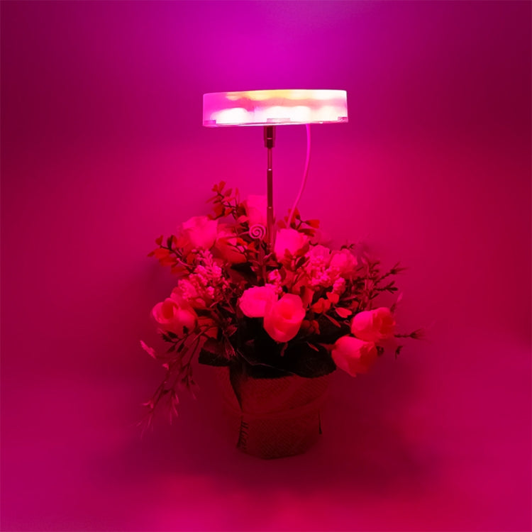 USB Ground Plug-in Full Spectrum Grow Light, Style: Red Blue + Marquee