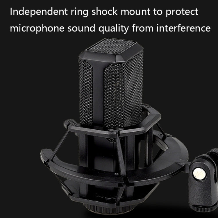 M7 Large-diaphragm Live Recording Microphone