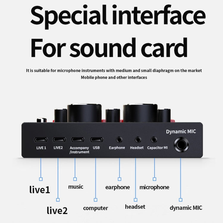 V8 Live Sound Card Set Anchor Recording Microphone,Style: With Gold BM800 Set
