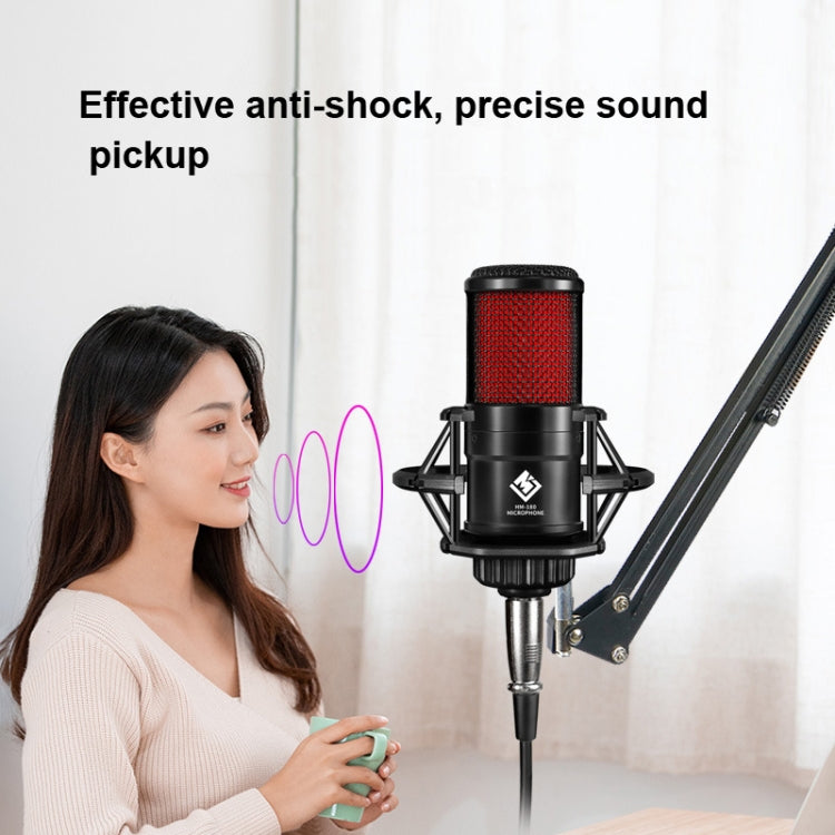 HM-180 Large-diaphragm Condenser Microphone Recording Live K Song Microphone