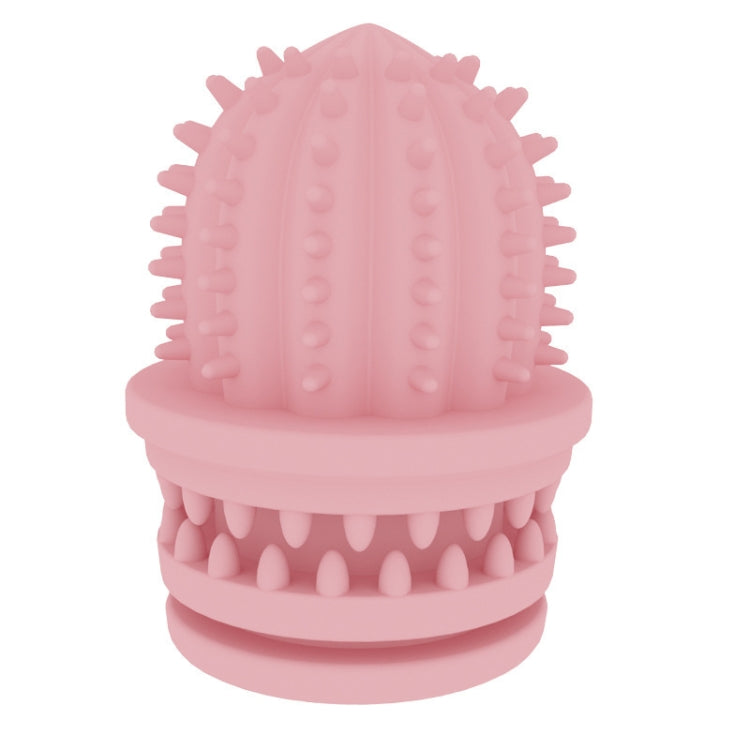 2 PCS Pet Cleaning Teeth TPR Cactus Lightweight Bite-resistant Educational Toys