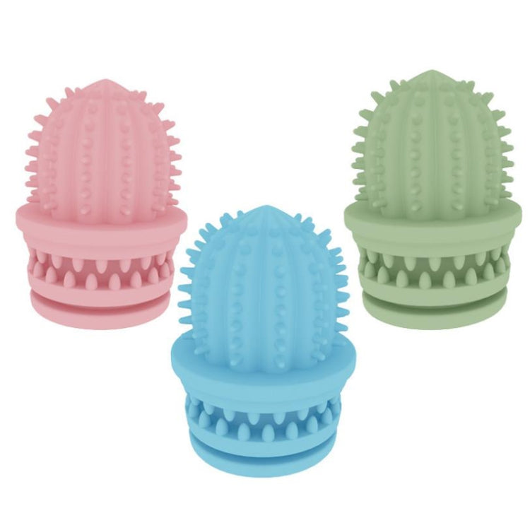 2 PCS Pet Cleaning Teeth TPR Cactus Lightweight Bite-resistant Educational Toys