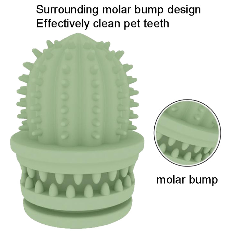 2 PCS Pet Cleaning Teeth TPR Cactus Lightweight Bite-resistant Educational Toys