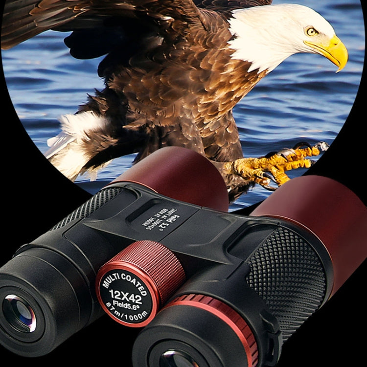 1242J 12X Outdoor Handheld Night Vision Binoculars
