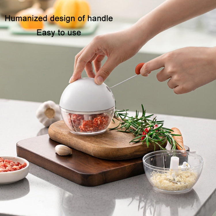 Household Manual Ginger And Garlic Masher