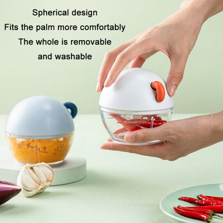 Household Manual Ginger And Garlic Masher