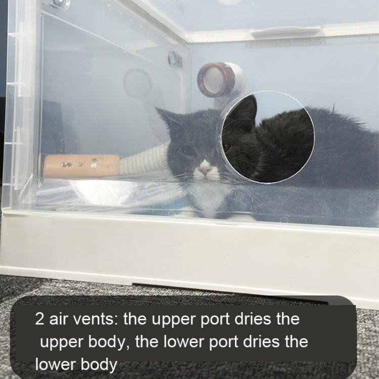 Pet Drying Box Water Blower Small Cat and Dog Bath Hair Dryer for Pets Under 2.5 kg