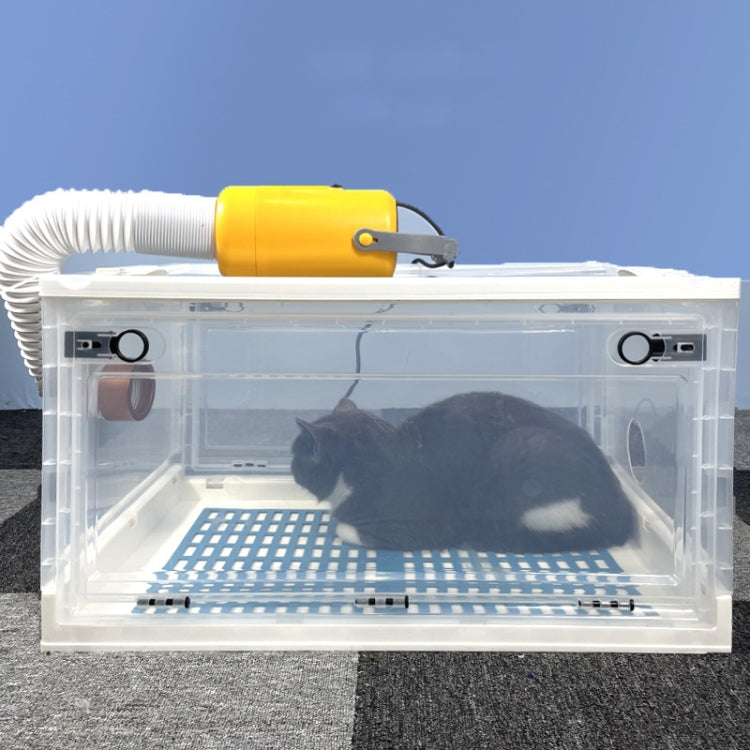 Pet Drying Box Water Blower Small Cat and Dog Bath Hair Dryer for Pets Under 2.5 kg