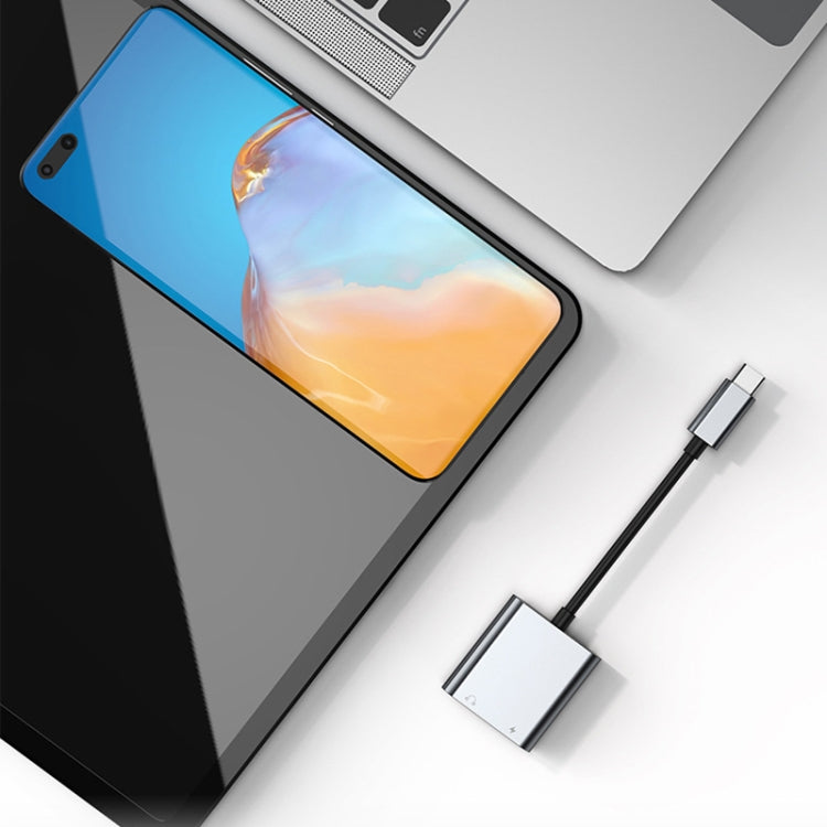 2 In 1 Type-C/USB-C PD 60W Digital Audio Adapter, Spec: 2-Type-C (Silver Gray)