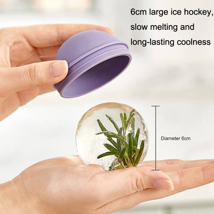 2PCS Home Whiskey Bulb Ice Ball Ice Cube Silicone Mold