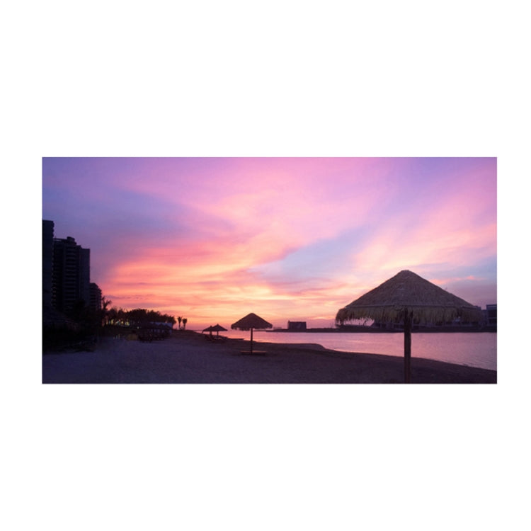 SY004 Resort Seaside Portable Diving Printed Microfiber Beach Towel