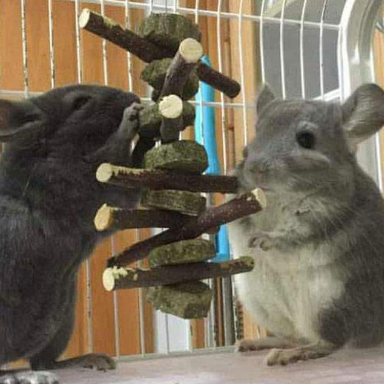 2 PCS Rabbit Hamster Guinea Pig Grass Pie Apple Branch Molar Skewers