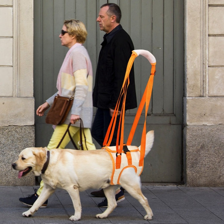 Pet Leash Assistive Belt For Postoperative Disabled Elderly Dogs Simple