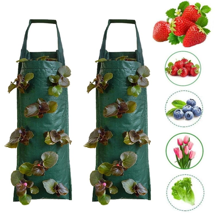 2 PCS Multi-Port Grow Bags For Plant Strawberry Potato Hanging Planting Pots, Size: 6 Port