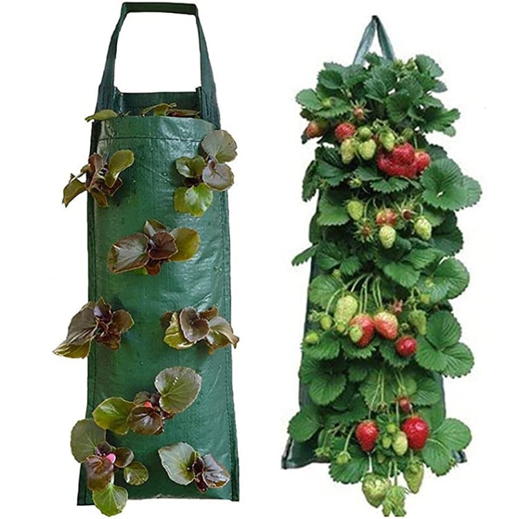 2 PCS Multi-Port Grow Bags For Plant Strawberry Potato Hanging Planting Pots, Size: 6 Port