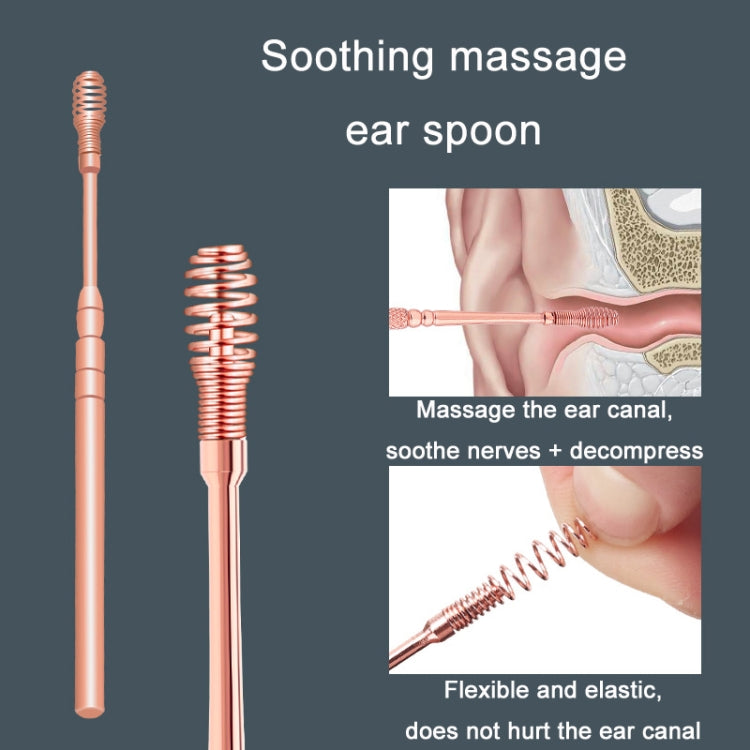 Stainless Steel Ear Picking Tool Set, Quality: 6 PCS/Set+Ear Spoon+Ear Clip
