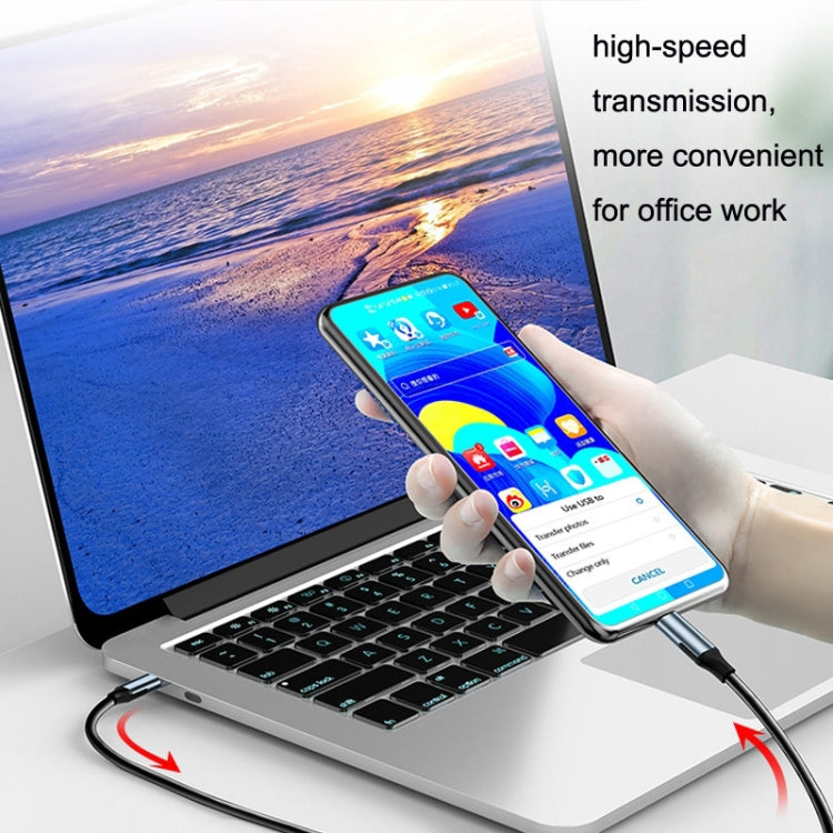 CC25 24Pin Dual Type-C / USB-C Fast Charging Magnetic Data Cable, Style: Magnetic Head