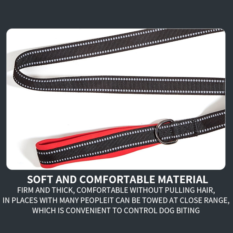 Anti-break Pet Leash Car Dual-purpose Reflective Seat Belt, Size: