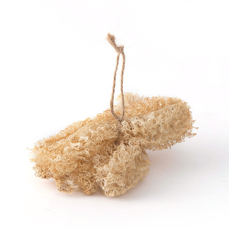 Kitchen Wooden Handle Cleaning Brush,Style: Loofah Pot Brush